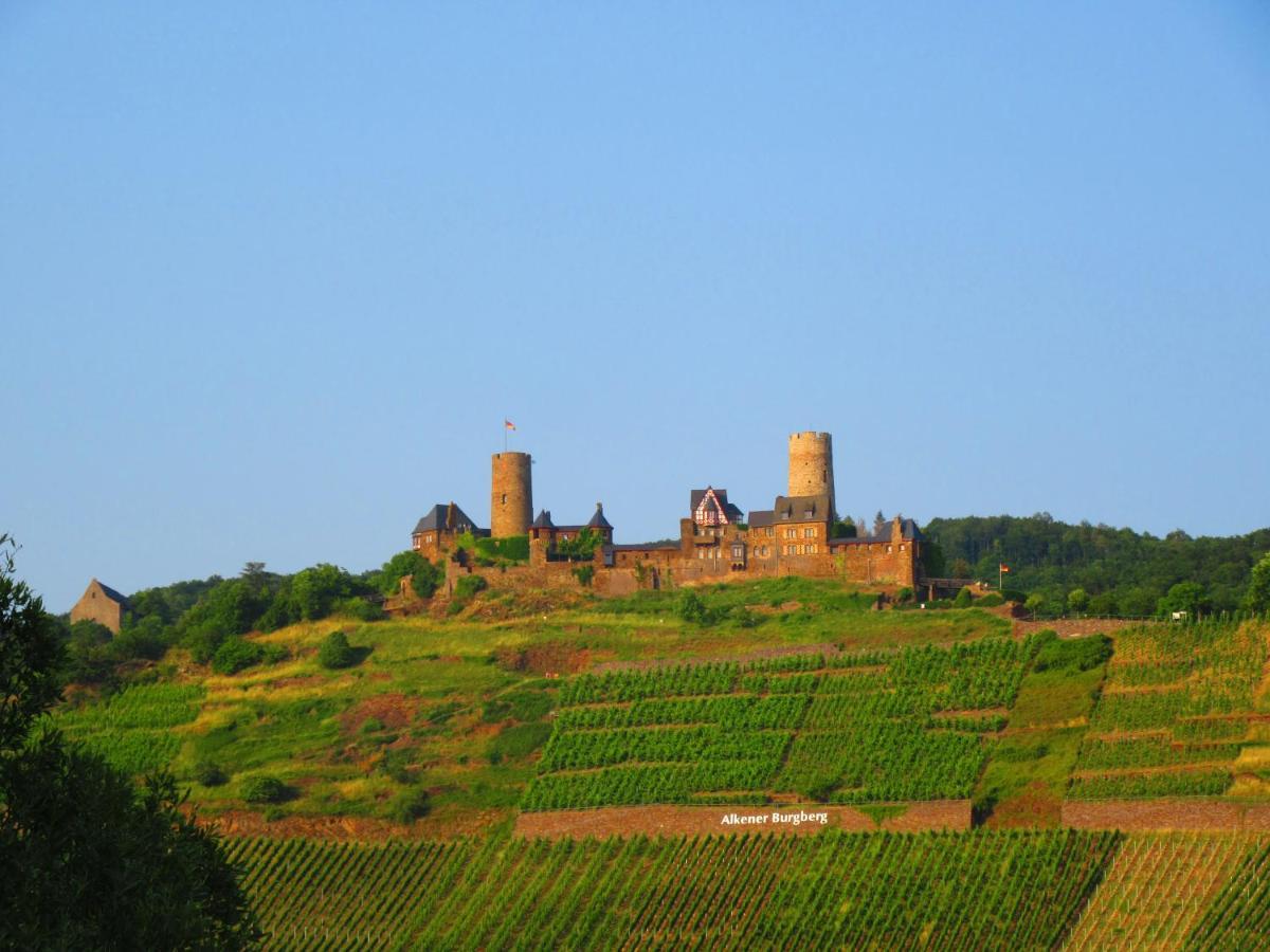 בורגן Ferienhaus Leopold Mit Burgblick An Der Mosel מראה חיצוני תמונה