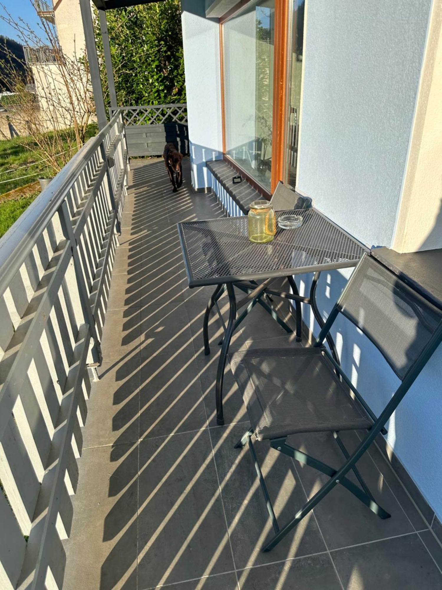 בורגן Ferienhaus Leopold Mit Burgblick An Der Mosel מראה חיצוני תמונה