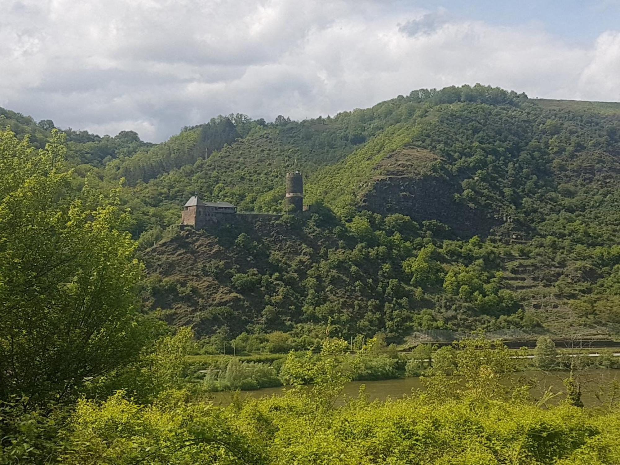 בורגן Ferienhaus Leopold Mit Burgblick An Der Mosel מראה חיצוני תמונה